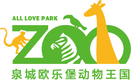 泉城欧乐堡动物王国
